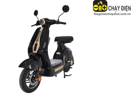 Xe điện Dylexe D1