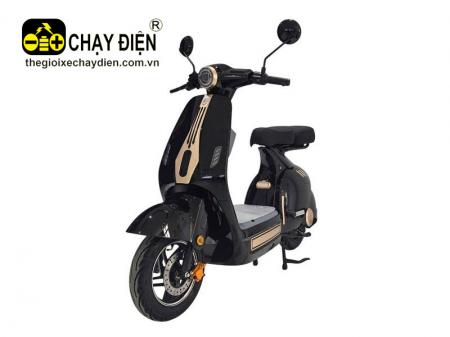 Xe điện Dylexe D1