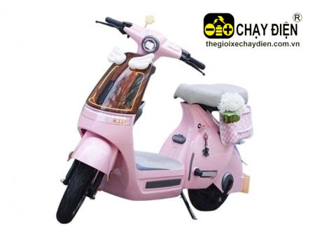 Xe điện Dylexe DV3