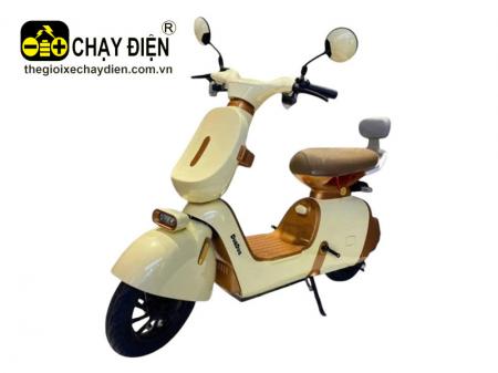 Xe điện DYLEXE K2