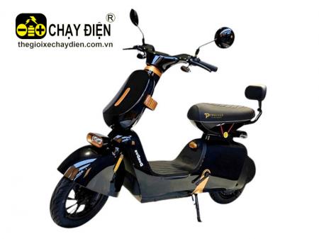 xe điện DYLEXE K2