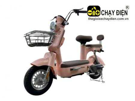Xe điện Hitasa Q8