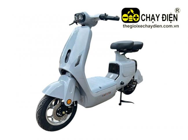 Xe điện Kaisima V1 Khoai môn