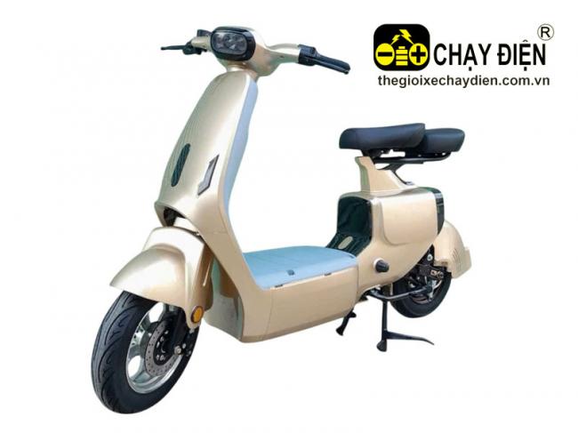 Xe điện Kaisima V1 Đồng