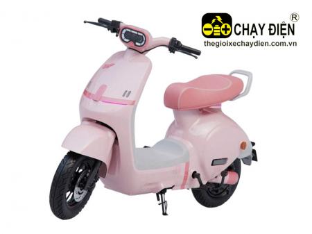 Xe điện Q Motor A11