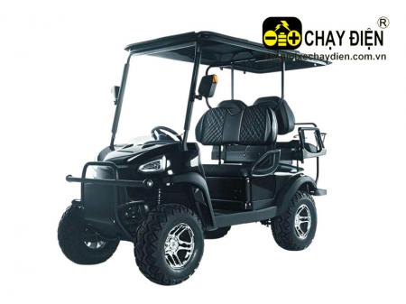 Xe điện sân Golf Smart G2+2