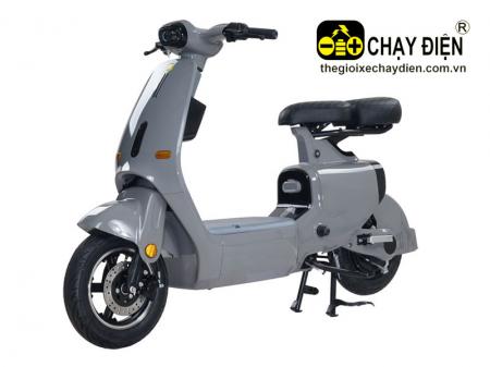 Xe điện Smart VC