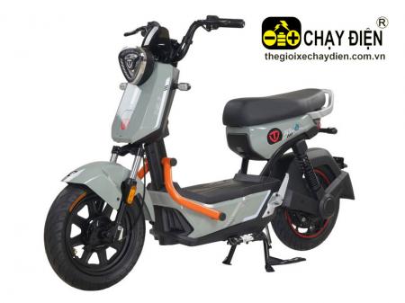 Xe điện TAILG GX30