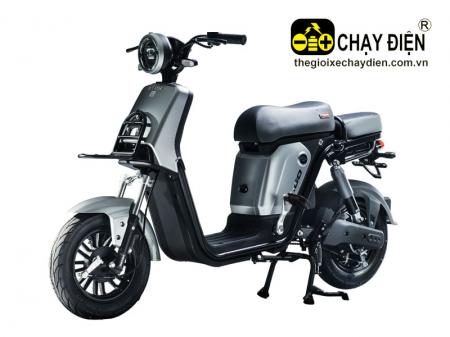 Xe điện Takashi Figo