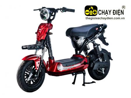 Xe điện Takashi S8