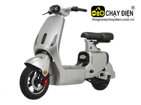 Xe điện V1 Plus MV