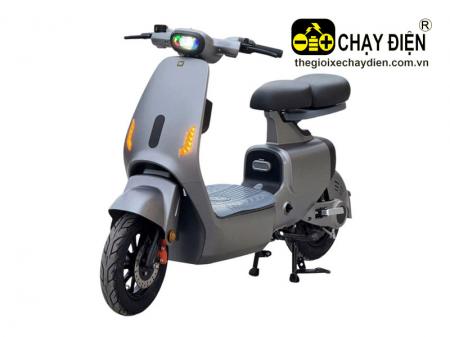 Xe điện V1 Plus
