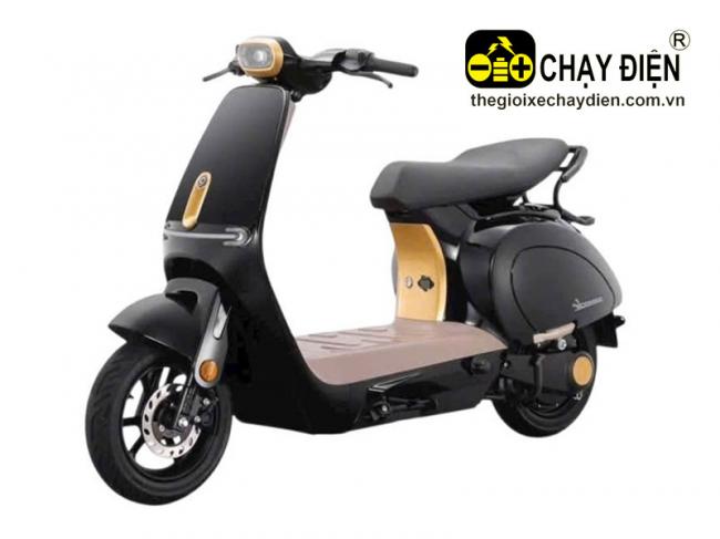 Xe điện VC Pro Max Đen bóng