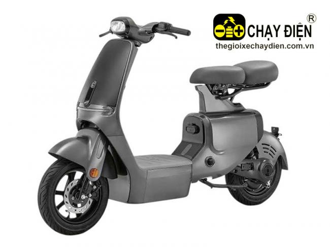 Xe điện VC Pro Xám