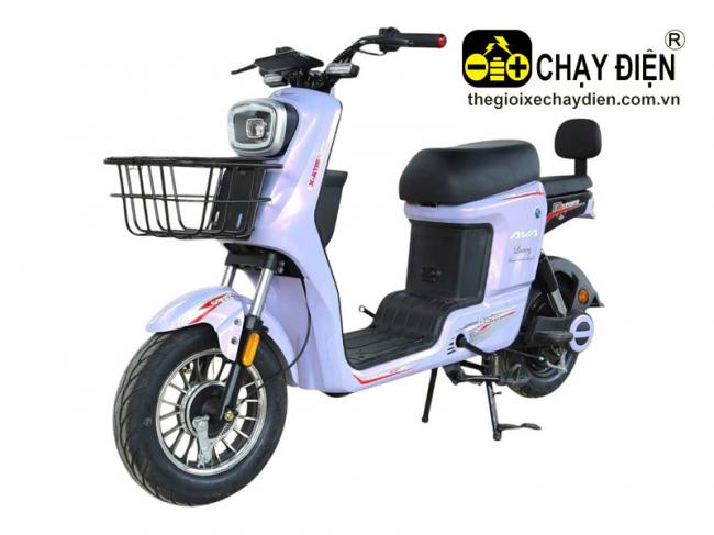 Xe điện Vnbike G1 Sport Khoai môn