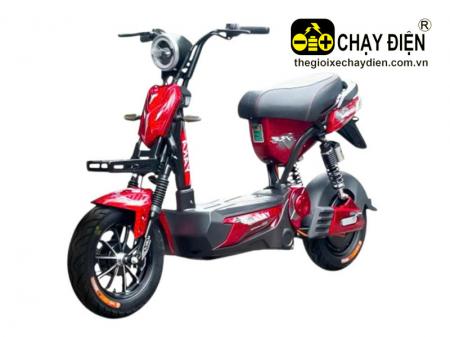 Xe điện YAKA R2