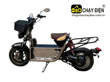 Xe máy điện chở hàng Smart M6 Inox 304