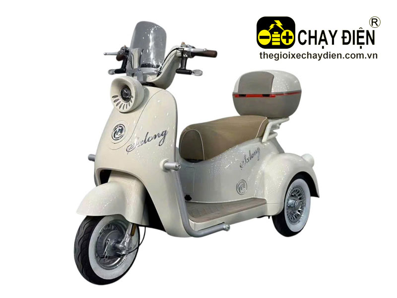 Xe 3 bánh Smart ST