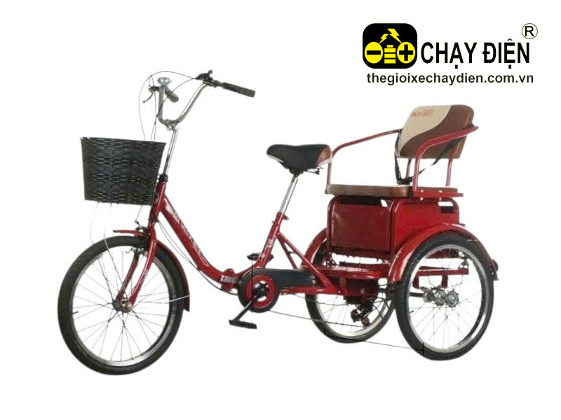 Xe đạp 3 bánh Smart T20