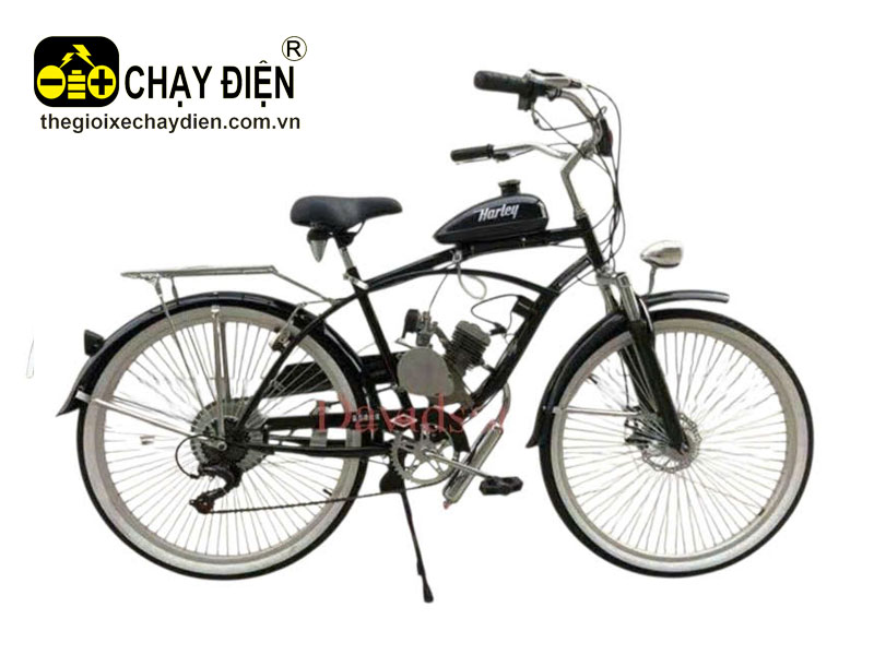 Xe đạp cổ điển gắn động cơ hai thì HL