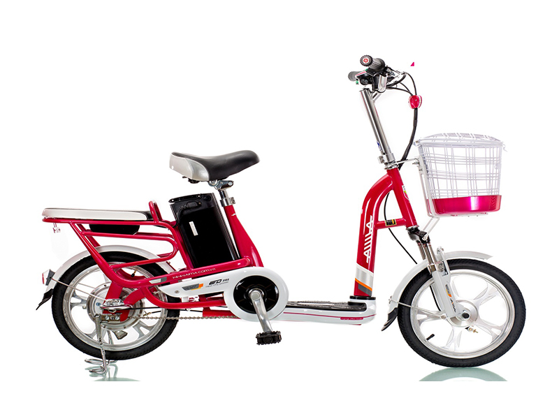 Xe đạp điện Aima tại Bắc Giang