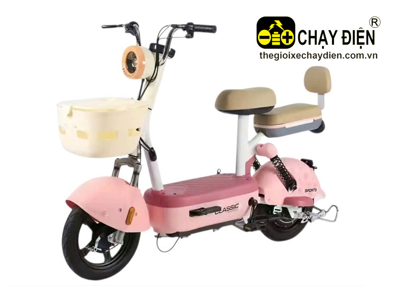Xe đạp điện Aiyo P1