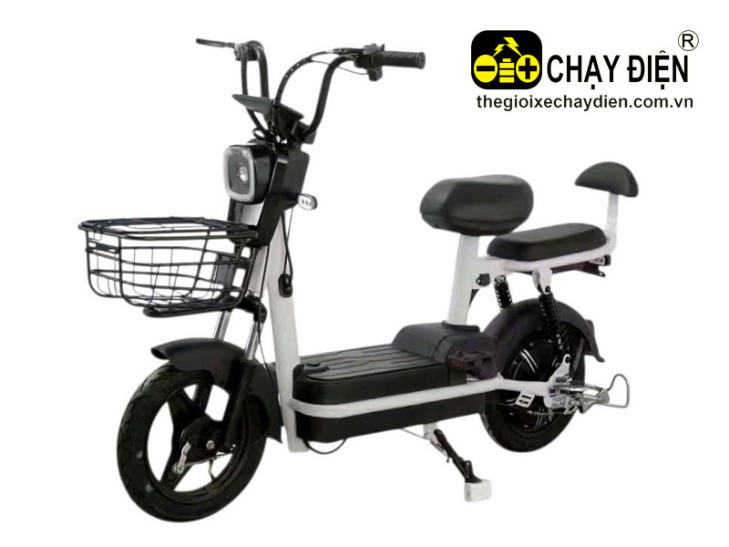 Xe đạp điện Aiyo T2