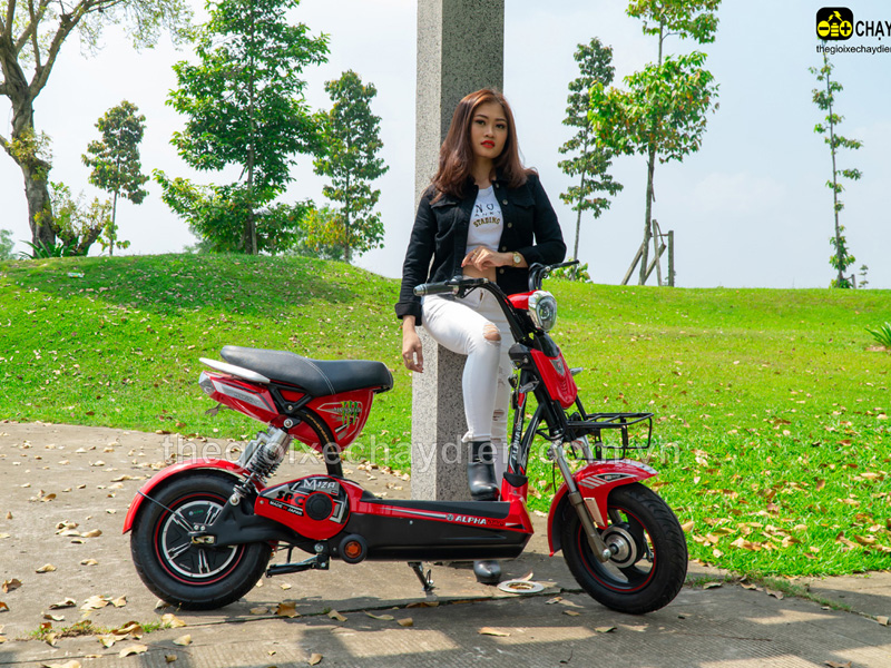 Xe đạp điện Alpha Monster – phù hợp với mọi nhu cầu đi lại của người dùng