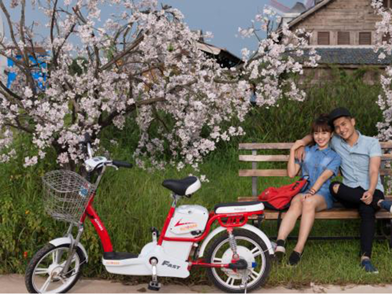 Xe đạp điện Autobike tại Đồng Nai