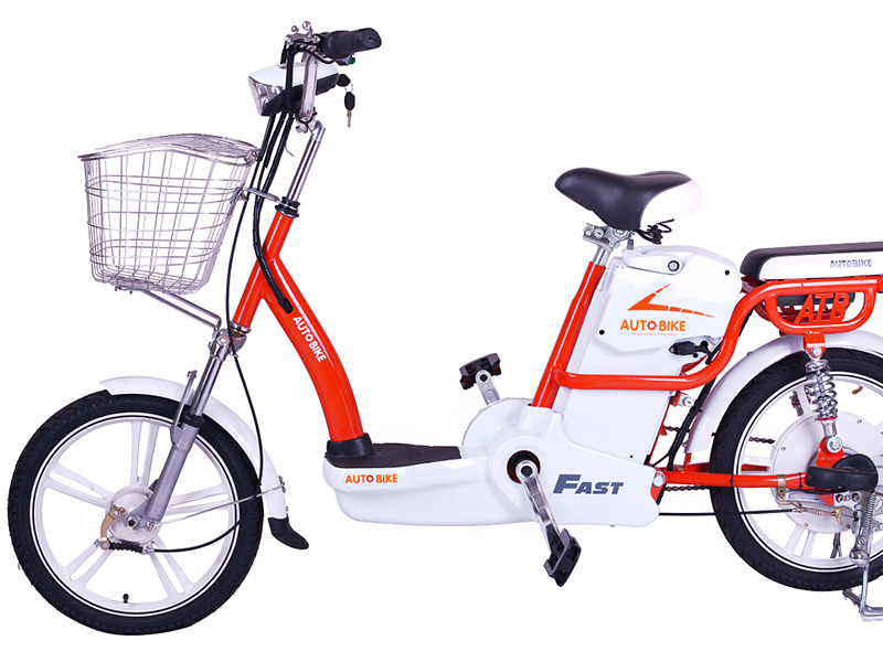 Xe đạp điện Autobike tại Lâm Đồng 