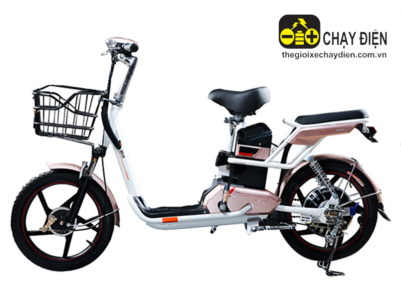 Xe đạp điện Autosun nhập khẩu Hai Bà Trưng