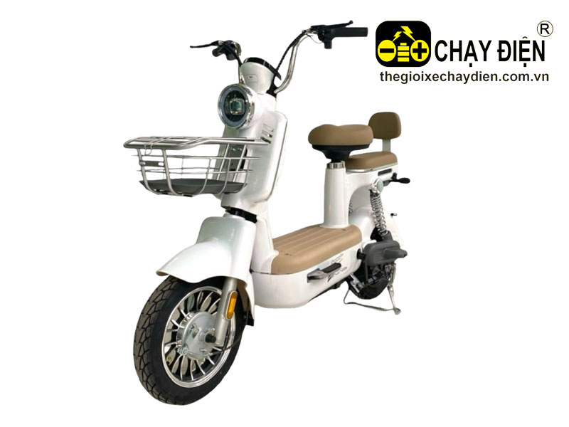 Xe đạp điện AVA i1