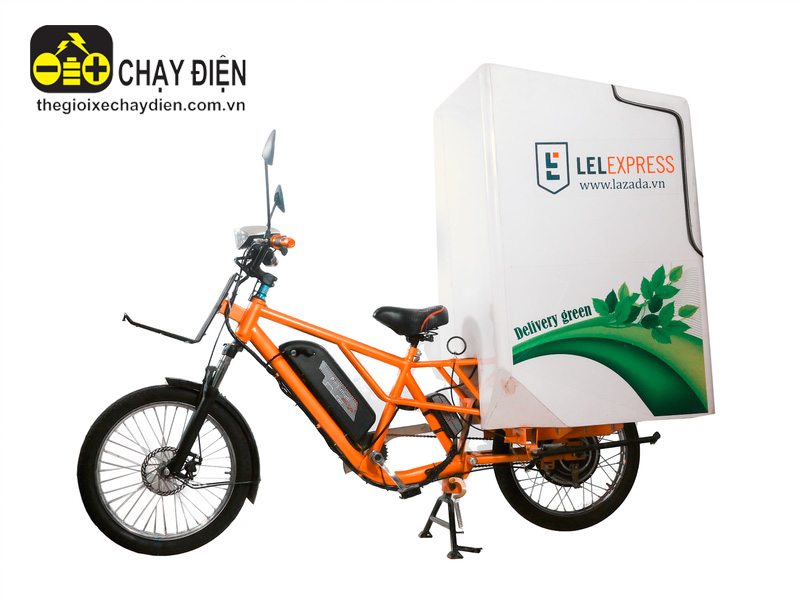Xe đạp điện chở hàng Smart D1