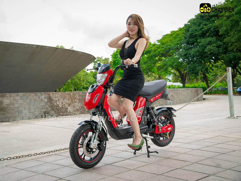 Xe đạp điện Đào Khôi Dkbike nhập khẩu Cầu Giấy