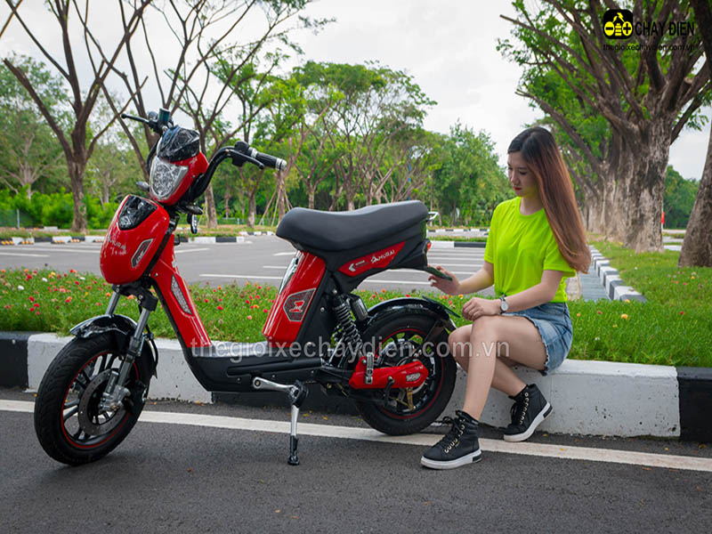 Xe đạp điện Đào Khôi Dkbike nhập khẩu Vĩnh Phúc