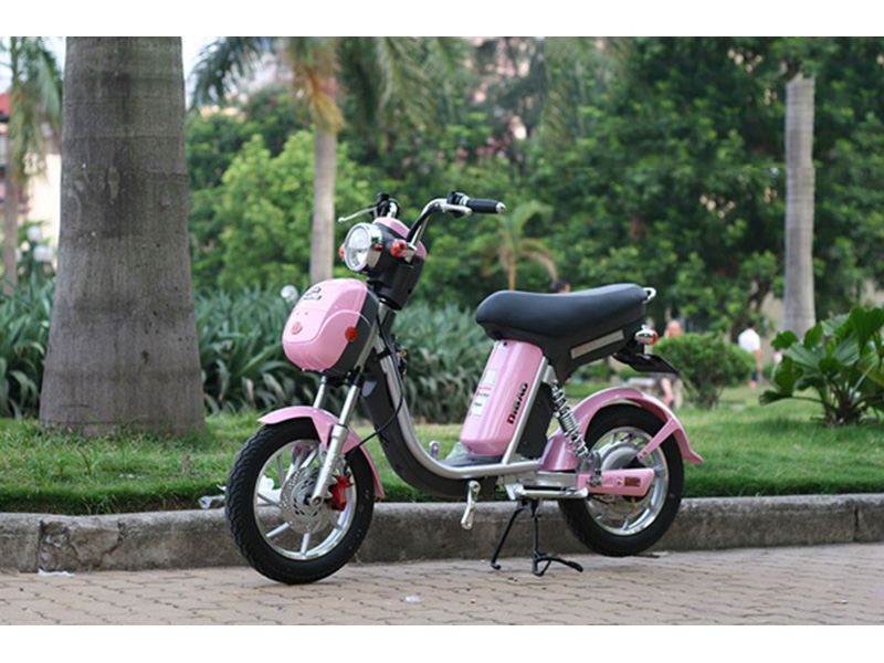 Xe đạp điện Dibao nhập khẩu Hà Tĩnh 