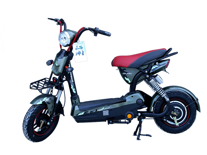 Xe đạp điện DTP nhập khẩu Thanh Xuân