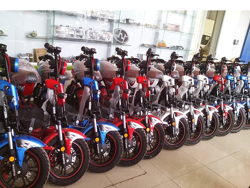 Xe đạp điện Ecobike tại Bình Dương