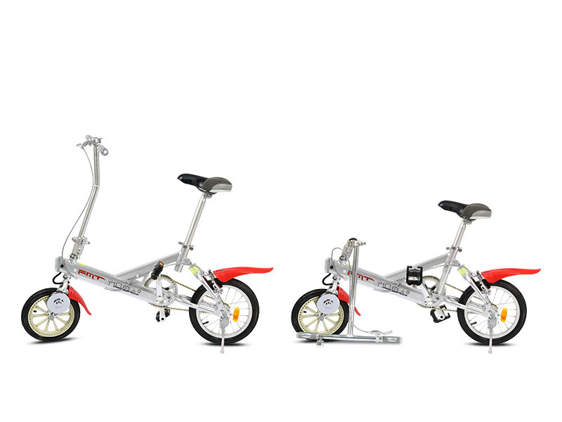 Xe đạp điện gấp FMT nhập khẩu Ninh Bình 