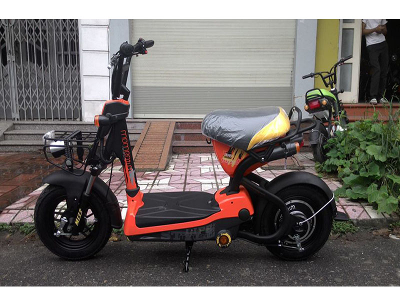 Xe đạp điện Giant tại Bến Tre