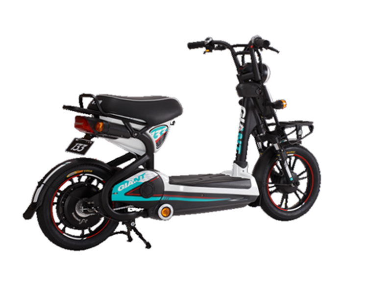 Xe đạp điện Giant tại Bình Định