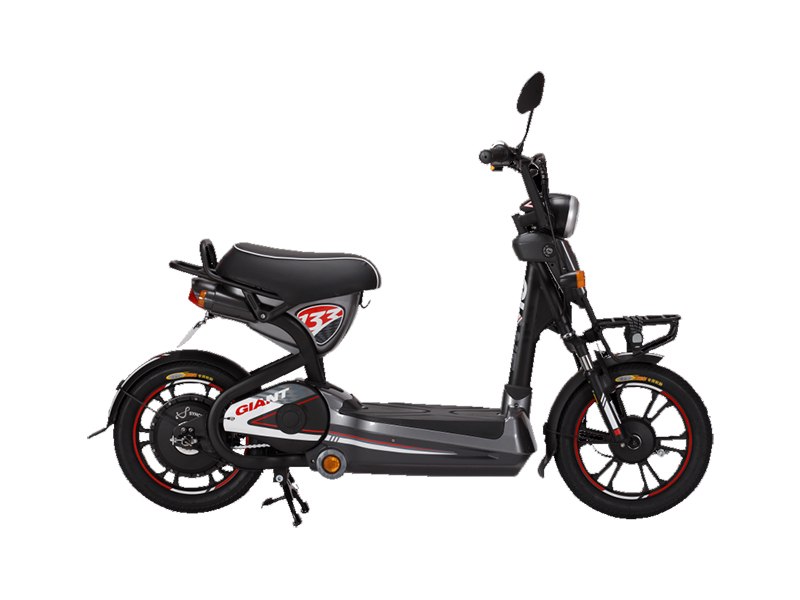 Xe đạp điện Giant tại Hà Nam 