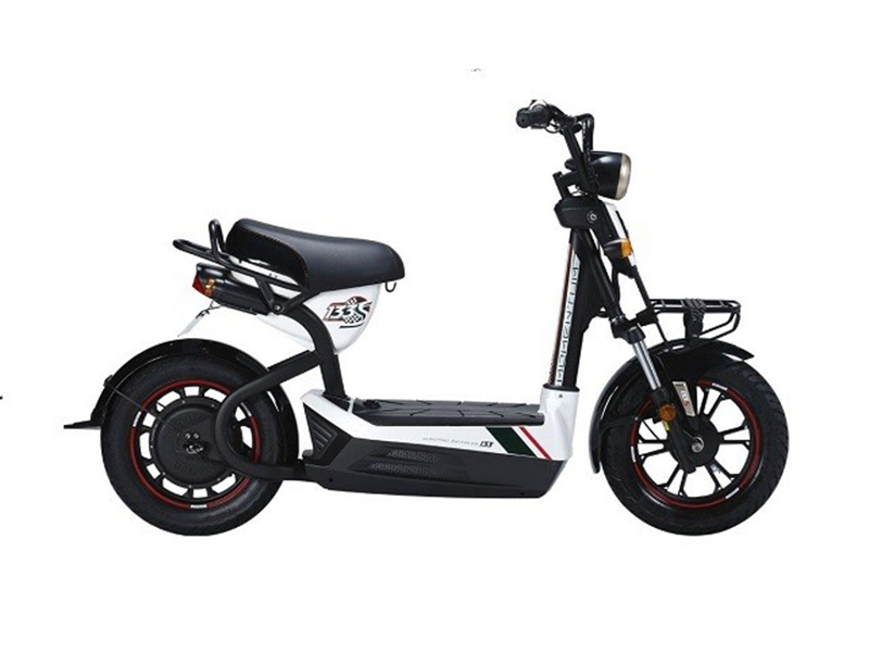 Xe đạp điện Giant tại Hà Nội