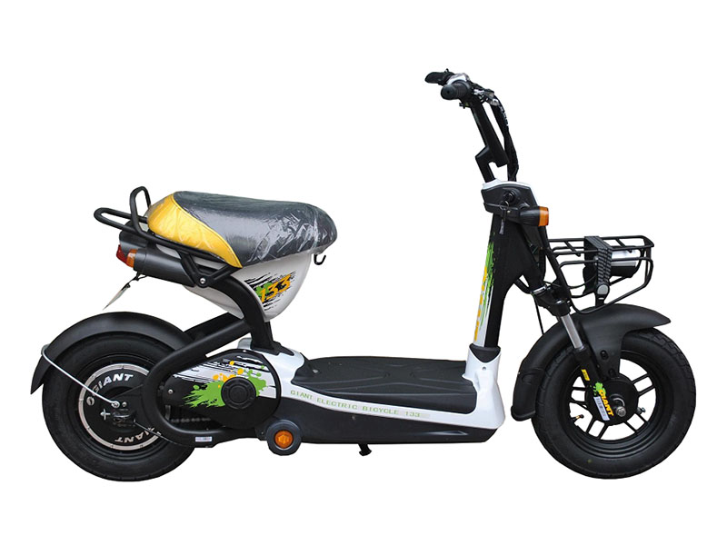 Xe đạp điện Giant tại Long An 