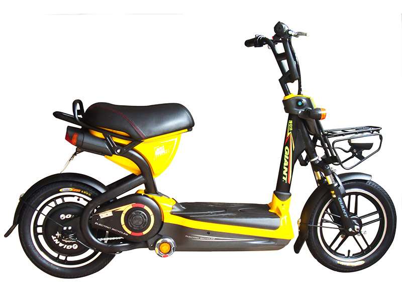 Xe đạp điện Giant tại Nam Định