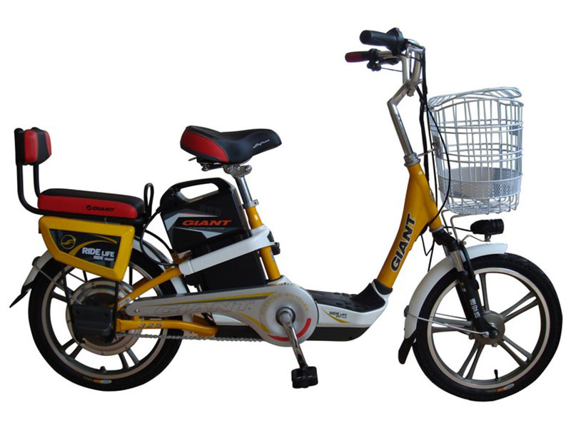 Xe đạp điện Giant tại Ninh Thuận