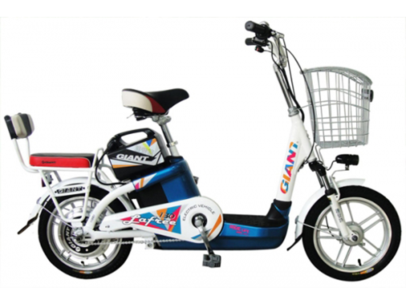 Xe đạp điện Giant tại Quảng Bình