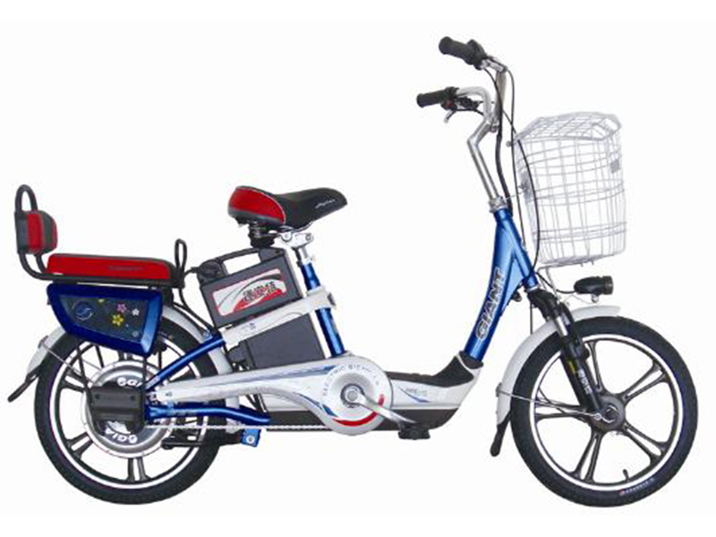 Xe đạp điện Giant tại Quảng Trị