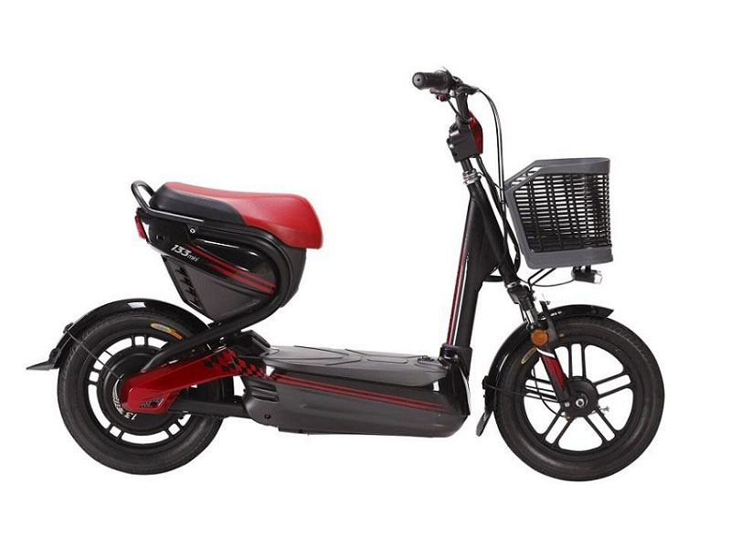 Xe đạp điện Giant tại Vĩnh Phúc