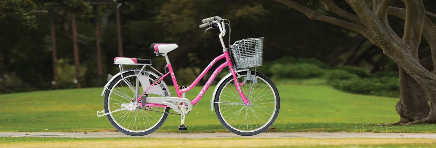 Xe đạp điện Hitasa 580S 